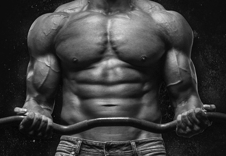 New Fitness Factory gym setup Full gym equipment manufacturer in India