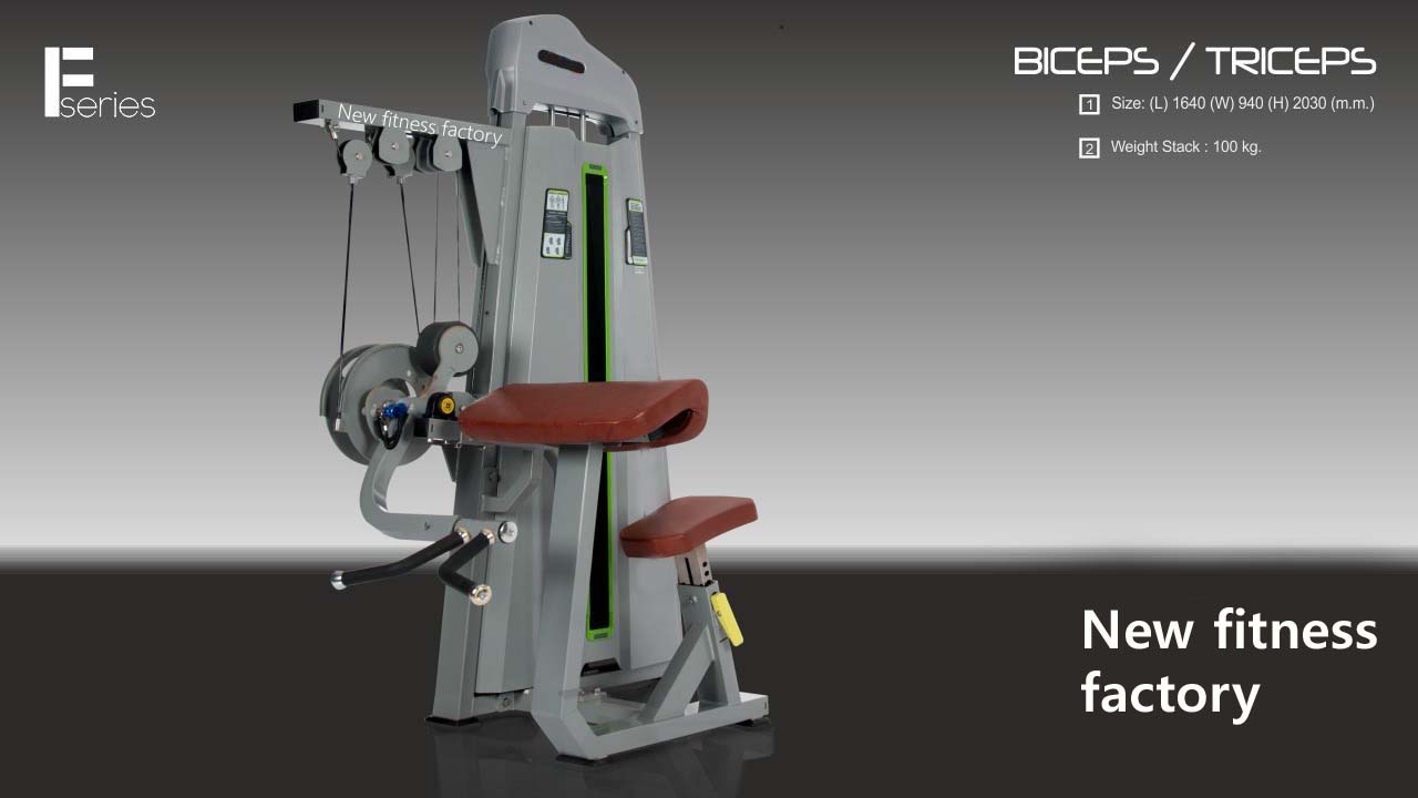 biceps-triceps
