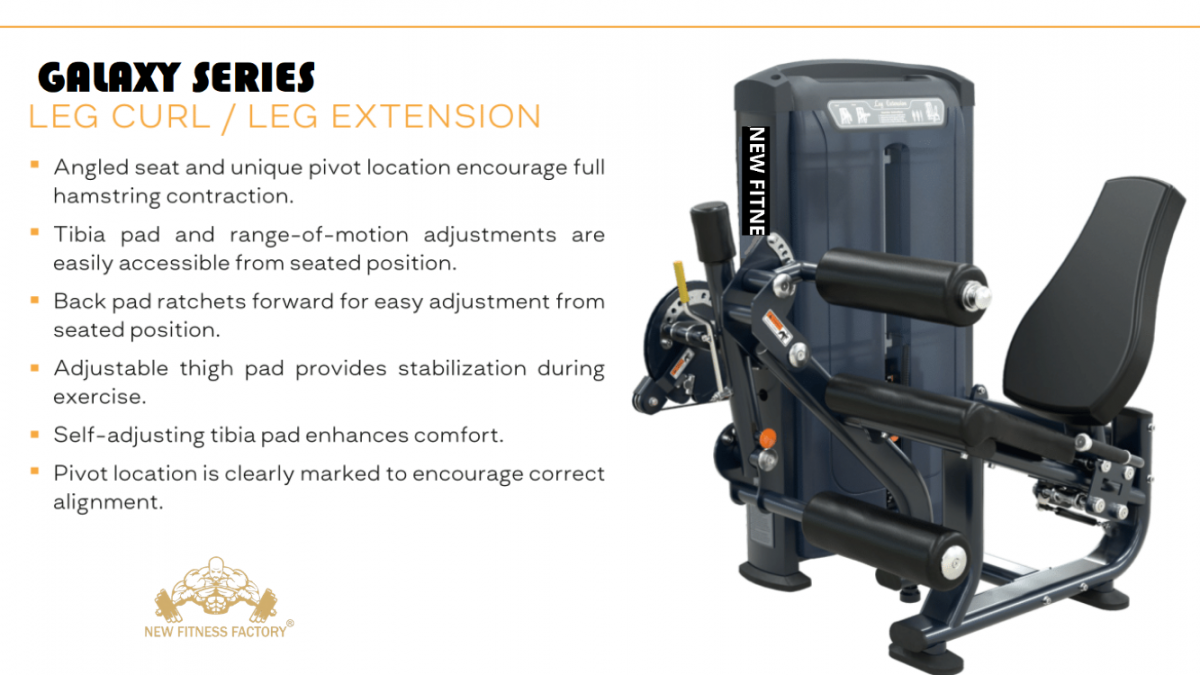 Leg Curl Leg Extension