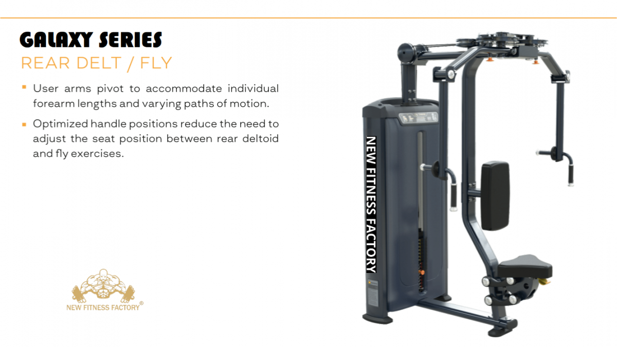 Rear Delt Fly
