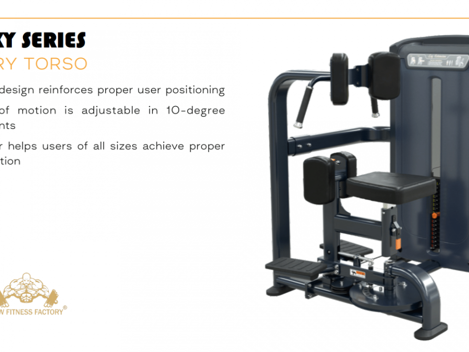 Rotary Torso