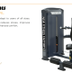 Triceps-Curl