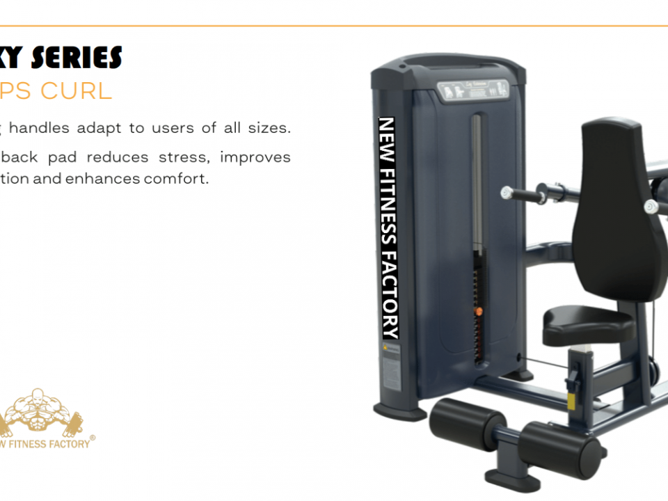 Triceps-Curl