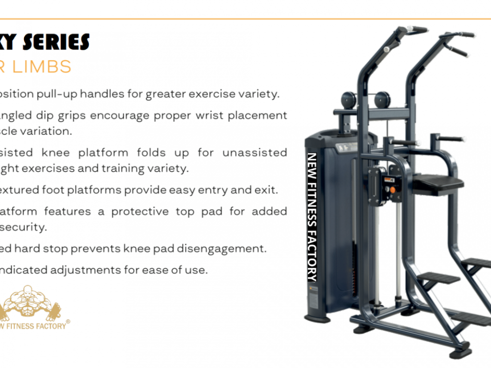 Upper Limbs