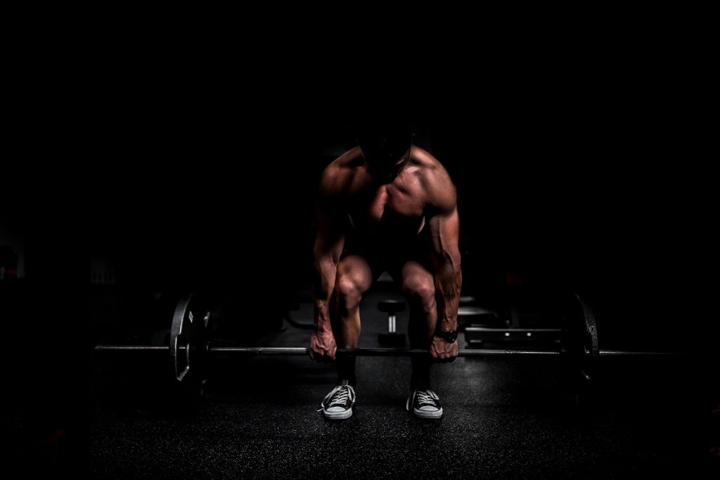 Commercial gym setup manufacturer